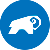 cta-icon